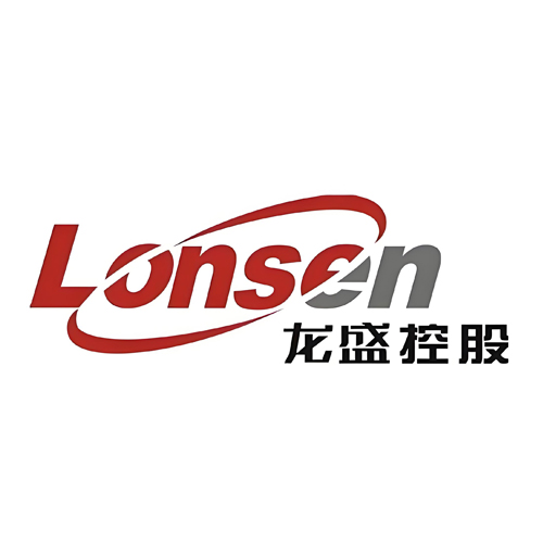 龙盛控股